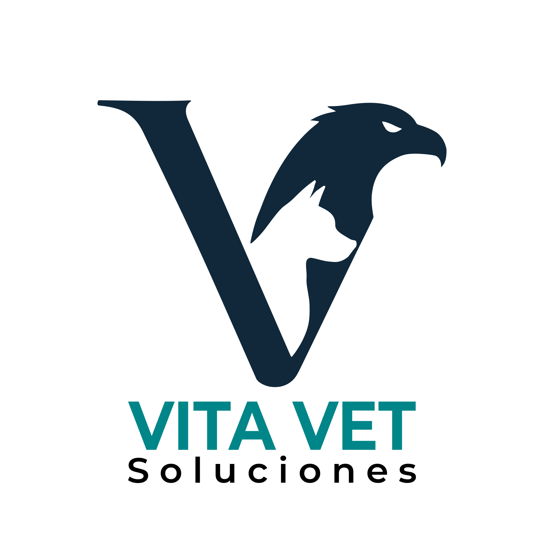 VITA VET Soluciones